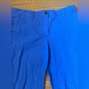 Talbots Womens  Blue Size 2P Girlfriend Chino  Cotton Blend Textured Pants